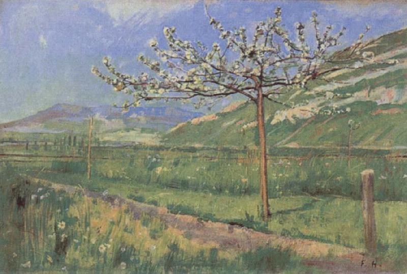 Ferdinand Hodler Apple tree in Blossom oil painting image